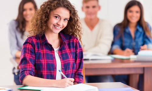 WordPress Development Course for Plugins & Themes